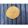 Image 5 : "Error" Penny & Tokens - Extinct is Forever Bear County USA Token & Predator Series Bobcat