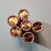 Image 2 : Six Rolls of Assorted 2024 United States Lincoln Cents - Face Value: $3.00
