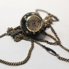 Image 2 : Unique Vintage Royce 17 Jewels Watch on 27" Chain