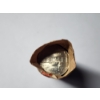 Image 3 : Roll of North Carolina State Quarters - Unsearched - Face Value: $10.00