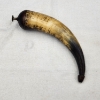 Image 5 : Vintage Black Powder Horn with Wooden Plug & Spout – Approx. 9"