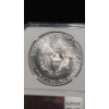 Image 4 : NGC 1987 MS 69 1 Troy Ounce 99.9% Silver American Eagle