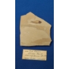 Image 1 : Eocene Period Fish Fossil Possibly 40 Million Years Old From The Green River In Wyoming 