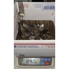 Image 6 : Large Lot of Silver Plate Silverware (3,535.2g TW) and a Pewter Chicken Trinket Box (487.3g TW)