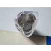 Image 2 : Roll of South Carolina State Quarters - Unsearched - Face Value: $10.00
