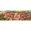Image 2 : Coca-Cola 16' Canoe