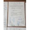 Image 12 : Lot of (8) The Grand Union Company Stock Certificates - Dated 1963, 1965, 1959, 1964