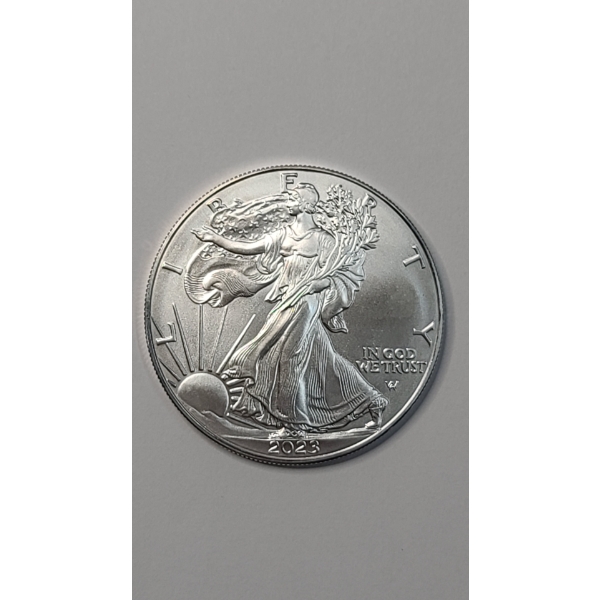 United States 2023 1 Troy Ounce .999 Fine Silver Type 2 American Eagle