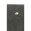 Image 5 : 14K Gold Dainty Necklace, Heart Earrings, Earring & Pendant: Total Weight: 2.9g