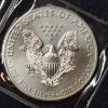 Image 3 : 2014 Uncirculated United States Silver 1 Oz .999 Eagle - Nice & Clean
