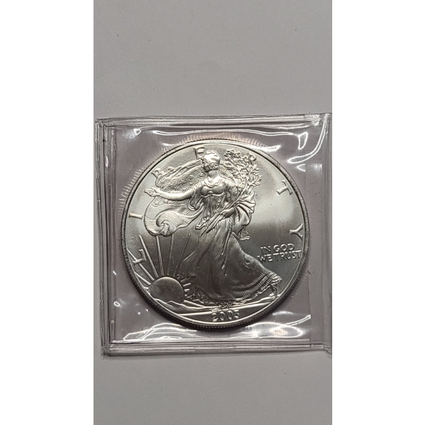 2003 1 Troy oz .999 Pure Silver American Silver Eagle Coin