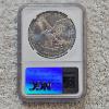 Image 2 : NGC MS69 Graded 2024 .999 Fine Silver 1oz. Eagle