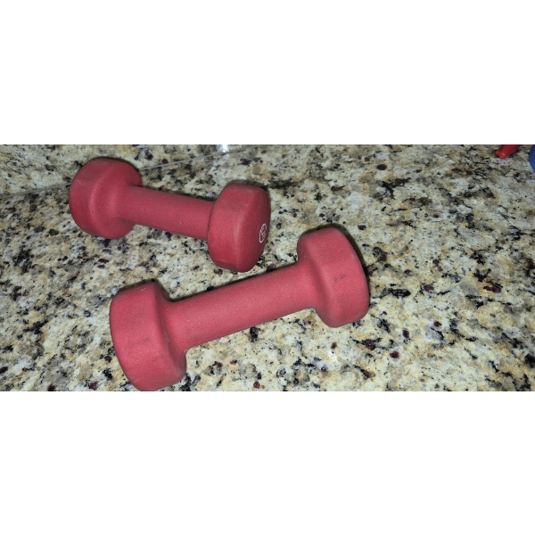 PICKUP IN NORTHFIELD - Excersize Hand Weights Rubber Coated 5 Lb Each - See Pics 