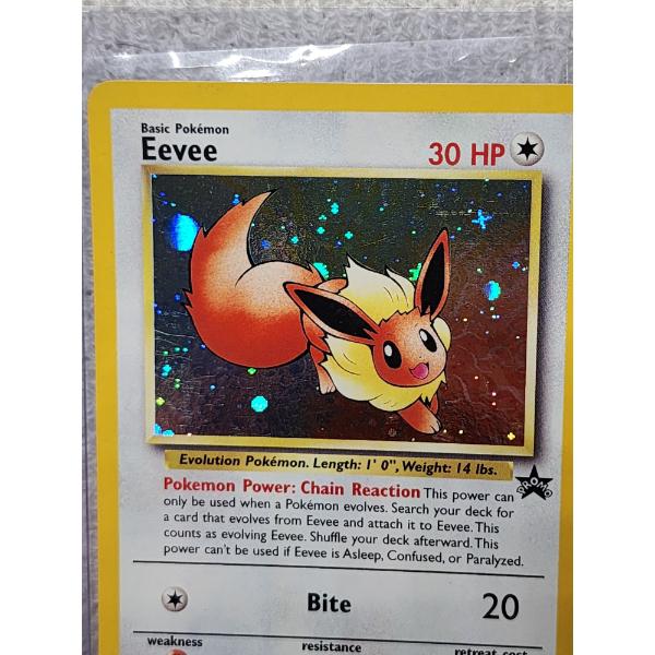 Vintage Holo Rare Black Star Promo Eevee #11 Pokemon Trading Card - Bosley  Auctioneers