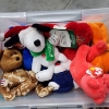 Image 2 : Large Assortment of Collectible Plushies, Beanie Babies & Cleveland Browns Dawg Pound Plush