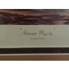 Image 7 : Set Of 2 Duck Limited Edition Prints Framed - Signed & Numbered By Artist See Pics