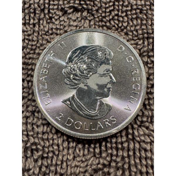 2020 Red Tailed Hawk 1/2 Ounce .999 Fine Silver - Limited Edition Coin - Royal Canadian Mint