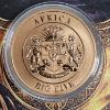 Image 4 : 2026 African Big Five Starry Night Fusion Lion 1 oz Colorized Copper Round