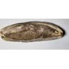 Image 1 : Very Interesting Vinctifer Comptoni Fossil 