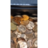 Image 2 : Assorted Years Unsearched Lincoln Cents - Face Value: $6.65