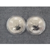 Image 4 : Lot of Two 2024 1 Oz 9999 Fine Silver Maple Leaves (2 Oz of Silver) - In Protective Capsules