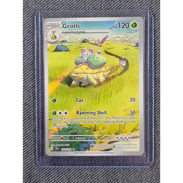 Grotle 164/162 Holo Illustration Rare Pokemon Trading Card