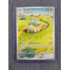 Image 1 : Grotle 164/162 Holo Illustration Rare Pokemon Trading Card