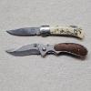Image 1 : Two Folding Pocket Knives: Sabre Scrimshaw Lockback and Sheffield Boreal Linerlock