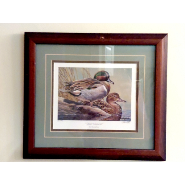 Set Of 2 Duck Limited Edition Prints Framed - Signed & Numbered By Artist See Pics