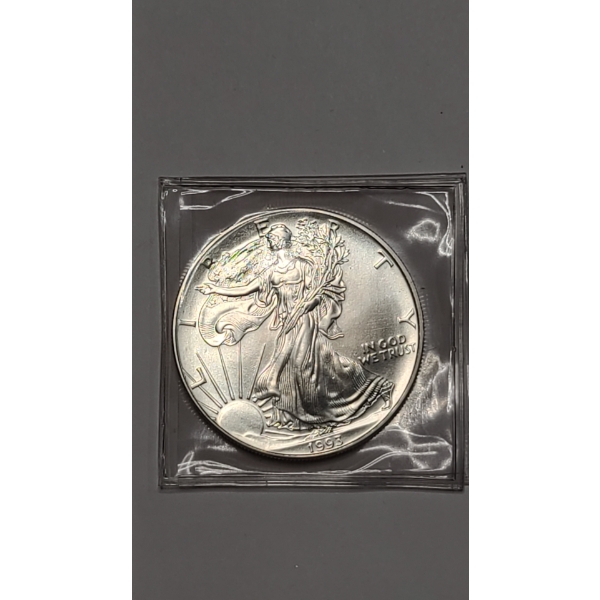 1993 1 Troy oz .999 Pure Silver American Silver Eagle Coin
