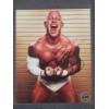 Image 1 : Autographed Pro Wrestler Eric Young 8" X 10" Photograph Certified By Pro Wrestling Tees