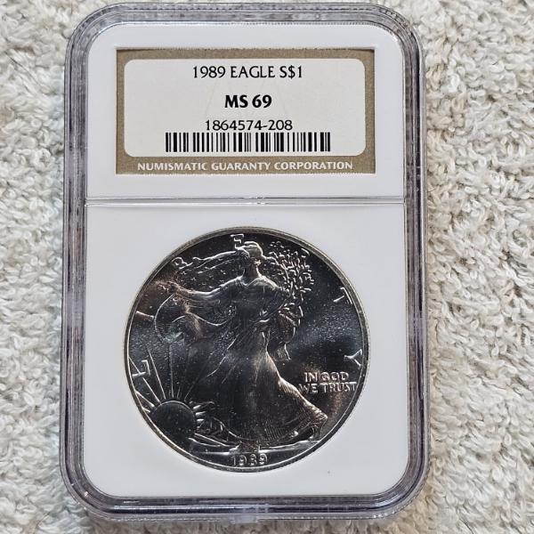 NGC MS69 Graded 1989 .999 Fine Silver 1oz. Eagle