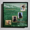 Image 3 : 1997 Canadian Mint Sterling Silver Canada's Best Friends Fifty Cent Four Coin Set ~ ASW: 0.2778oz EA