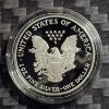 Image 3 : 2004-W American Silver Eagle 