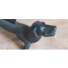 Image 2 : Vintage Cast Iron Boot Scraper - Dog