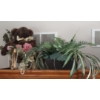 Image 2 : Stuffed Animal Approx 22" Real Animal Fur - Bear With Floral Arrangement As Shown In Photos 