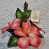 Image 1 : Authentic Capodimonte Porcelain Hibiscus Flower Figurine