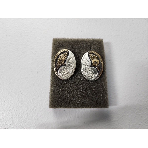 One Pair of Detailed Fashion Earrings 