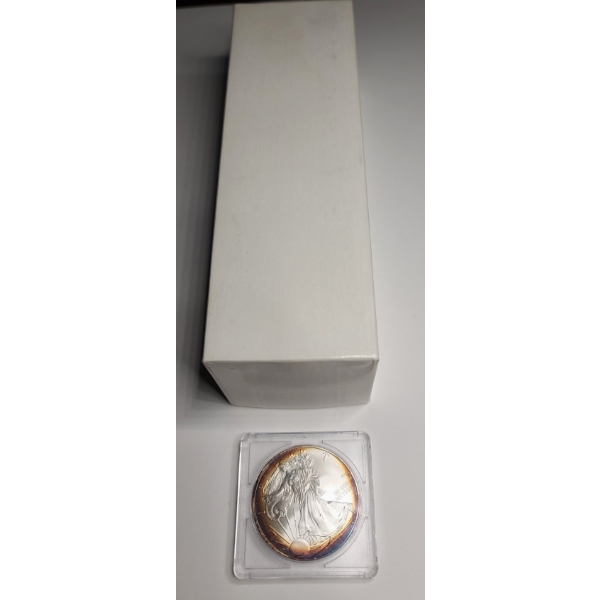 United States Mint 2007 One Troy Ounce .999 Fine Silver American Eagle In Coin Holder