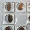 Image 2 : Two Binder Pages of Assorted Pressed Pennies From Various Landmarks