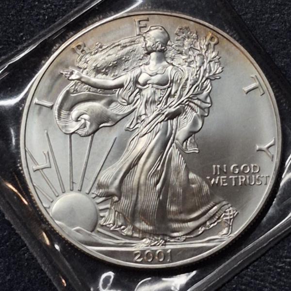 2001 United States Silver Eagle 1 Oz .999 Uncirculated Silver Dollar