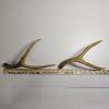 Image 3 : Two Forked Deer Antlers