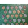 Image 6 : U.S. Lincoln Cents - Semi-Full Collection Including 1909 VBD and Better Dates - Face Value: $1.26