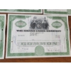 Image 10 : Lot of (8) The Grand Union Company Stock Certificates - Dated 1963, 1965, 1959, 1964
