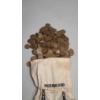 Image 3 : Unsearched 5 Pound Bag Of "S" Mint U.S Wheat Cents San Francisco Hoard 