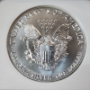 Image 4 : 1991 American Silver Eagle $1 - 1 oz .999 Fine Silver - Graded by NGC MS 69