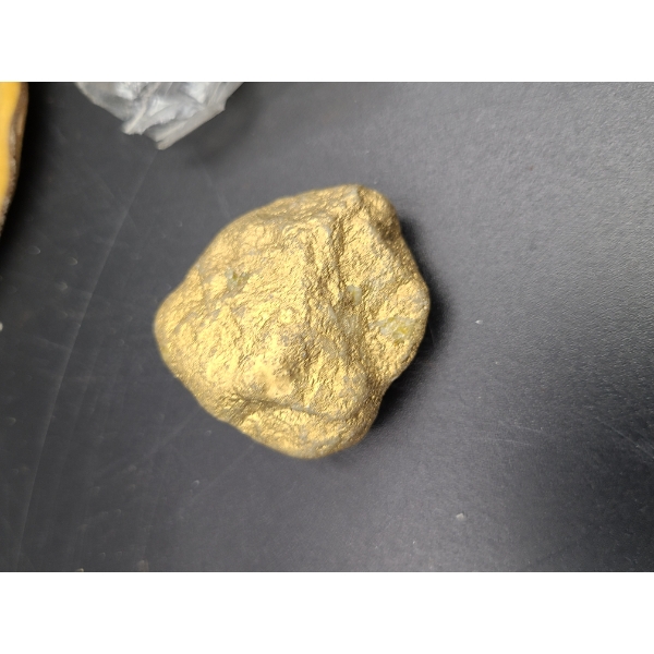 Gold Nuggets (one in package) with Bag (I struck Rich in Beautiful Atlantic City)