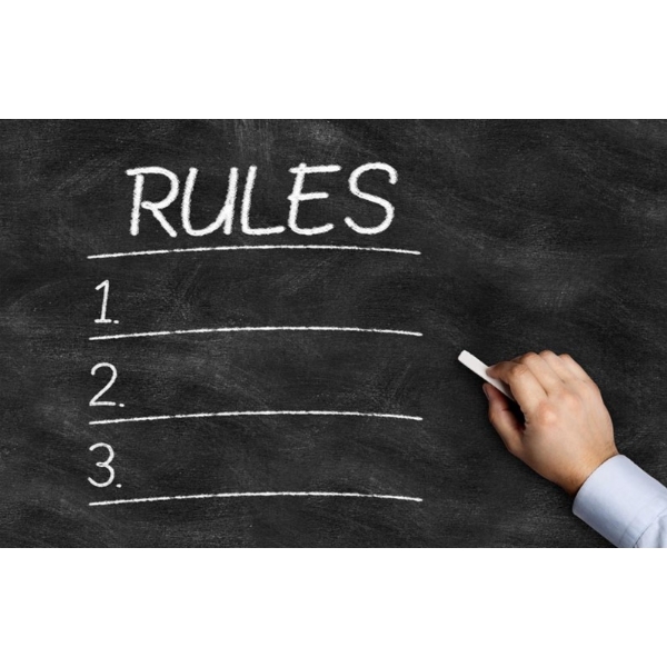 *Auction Rules & Terms!* PLEASE READ! DO NOT BID ON THIS LOT! Terms & Conditions Only