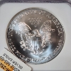 Image 4 : 2002 American Silver Eagle $1 - 1 oz .999 Fine Silver - Graded by NGC MS 69