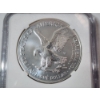 Image 4 : 2023-W Burnished Silver American Eagle - 1 oz .999 Fine Silver - NGC MS 70